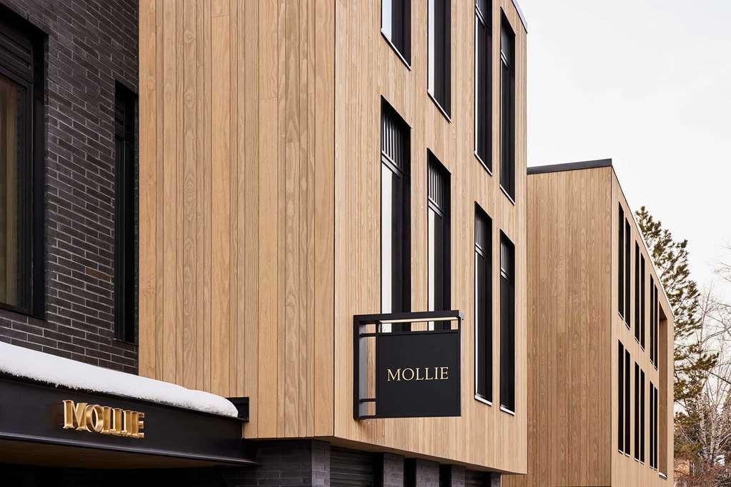 Mollie Aspen Hotel Exterior foto